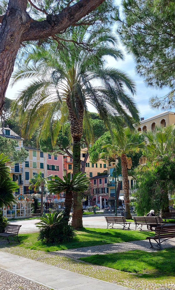 Santa Margherita Ligure

#LuoghiDEstate 
#VentagliDiParole 

📷 mia