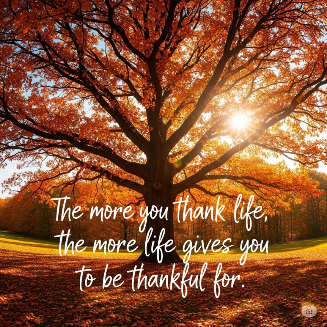 sir_enike's tweet image. Thank God for today, we are alive and it’s an enough reason to be thankful and grateful.
Stars ✨ nation, arise to the fullest of your potential and be grateful for the gift of life.
Amazing morning to you!