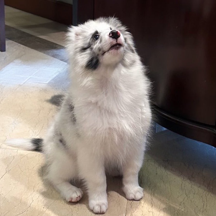 ถัาพูดได้ก็คือ : แหม ติดแฟนแล้วลืมลูกเลยน้า ไอ้เราก็ได้แต่เรียนพิเศษ ส่วนเขาน่ะคนพิเศษ