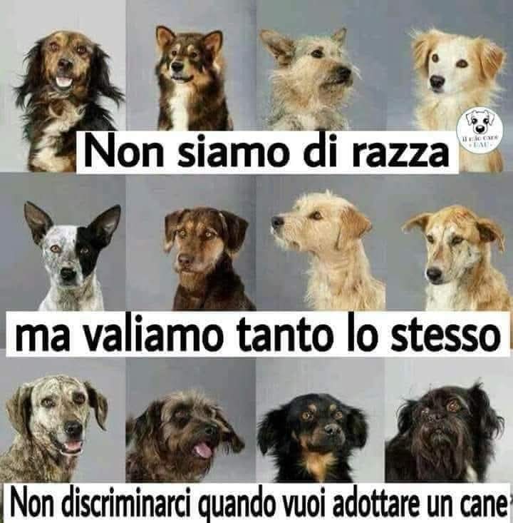 Iaia (@mariaro85819362) on Twitter photo 