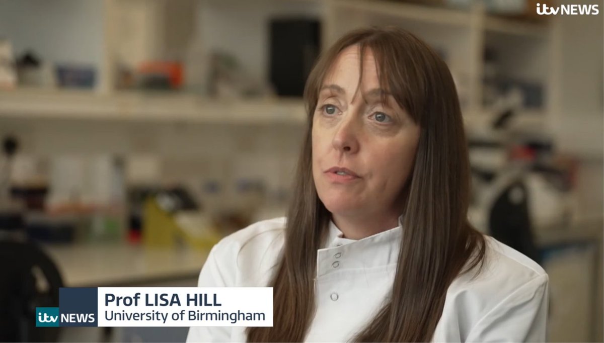 UoB School of Infection, Inflammation & Immunology (@uobinfectionsch) on Twitter photo Prof Lisa Hill (<a href="/Neuroscience_Dr/">A/Prof Lisa Hill</a>) from <a href="/unibirmingham/">Uni of Birmingham</a> featured on <a href="/itvnews/">ITV News</a> highlighting vital research into traumatic brain injury in veterans.
Her interview starts ~10 mins in: bit.ly/3GK0Bo6
(Screenshot from ITV News - July 2025)
#TBI #VeteransHealth #Neuroscience Prof Lisa Hill (<a href="/Neuroscience_Dr/">A/Prof Lisa Hill</a>) from <a href="/unibirmingham/">Uni of Birmingham</a> featured on <a href="/itvnews/">ITV News</a> highlighting vital research into traumatic brain injury in veterans.
Her interview starts ~10 mins in: bit.ly/3GK0Bo6
(Screenshot from ITV News - July 2025)
#TBI #VeteransHealth #Neuroscience