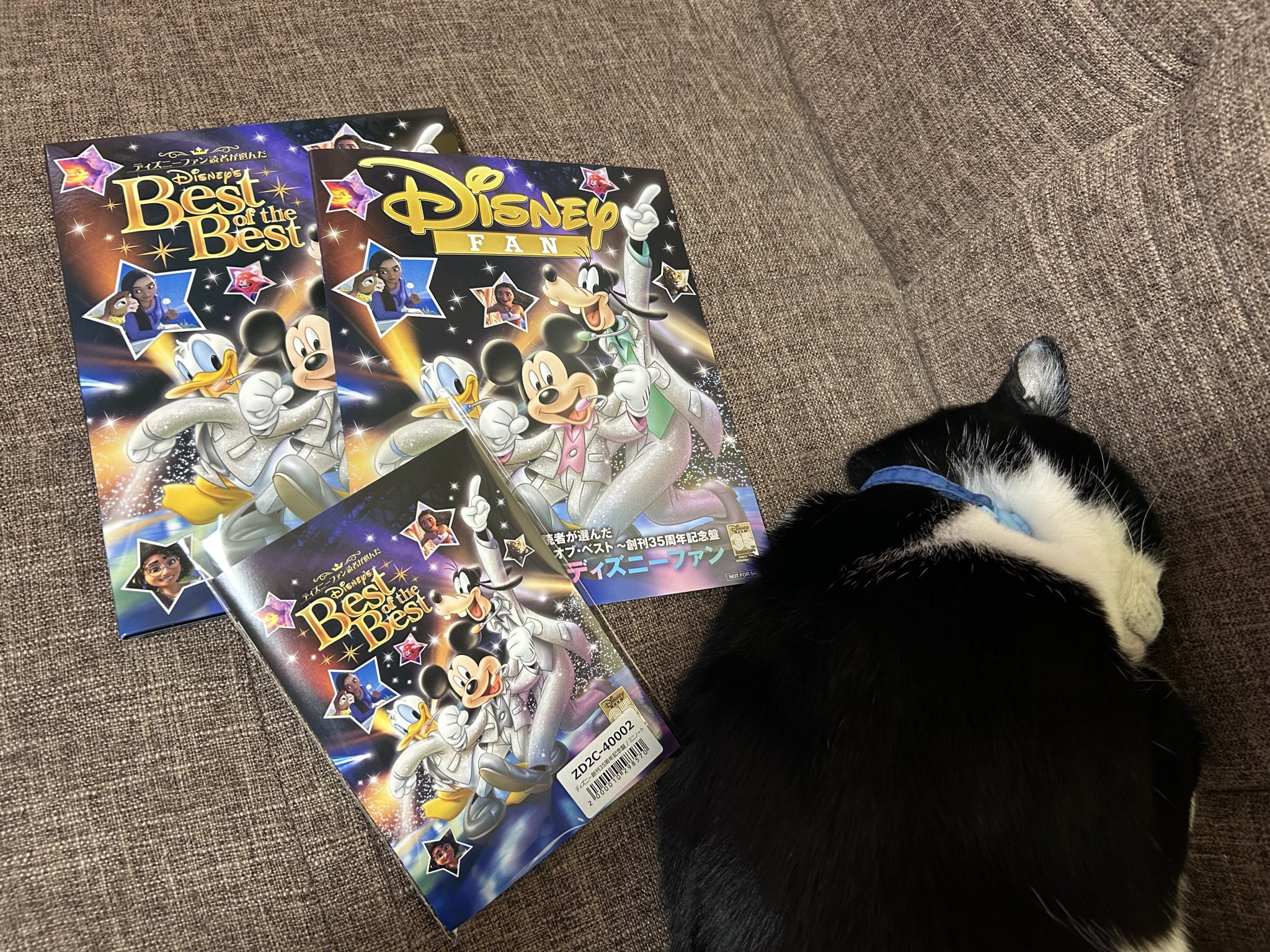 Disney - オキョサン出品　コメント欄参照 🦄🌶️あゆトーニ🦁🌙🐩🌹🌐 on X: 
