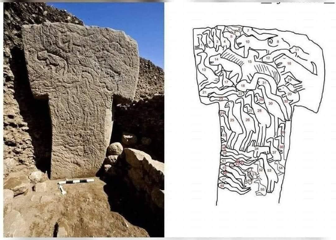 Here’s a detailed depiction of what’s carved on a worn 12,000 year old T-pillar at Göbekli Tepe.

Fascinating stuff 🔥