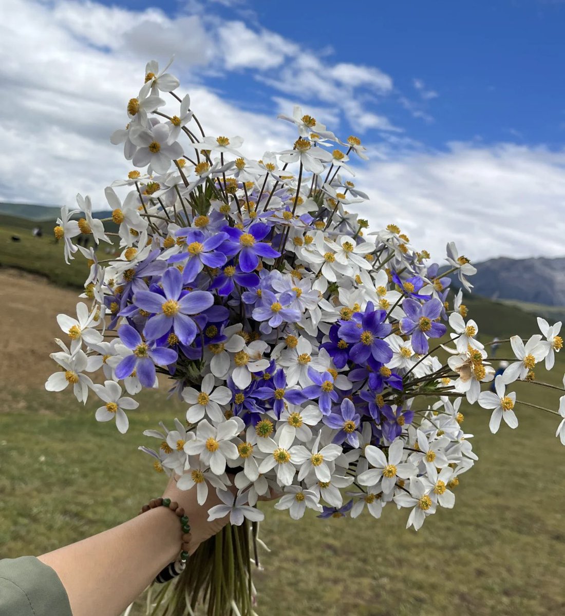 Gününüz güzel geçsin❤️💐