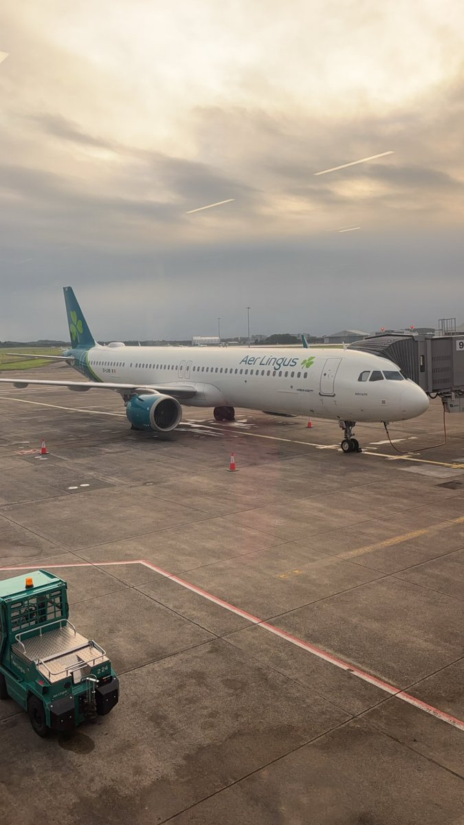 Shane McAuliffe 🐷✈️ tweet media