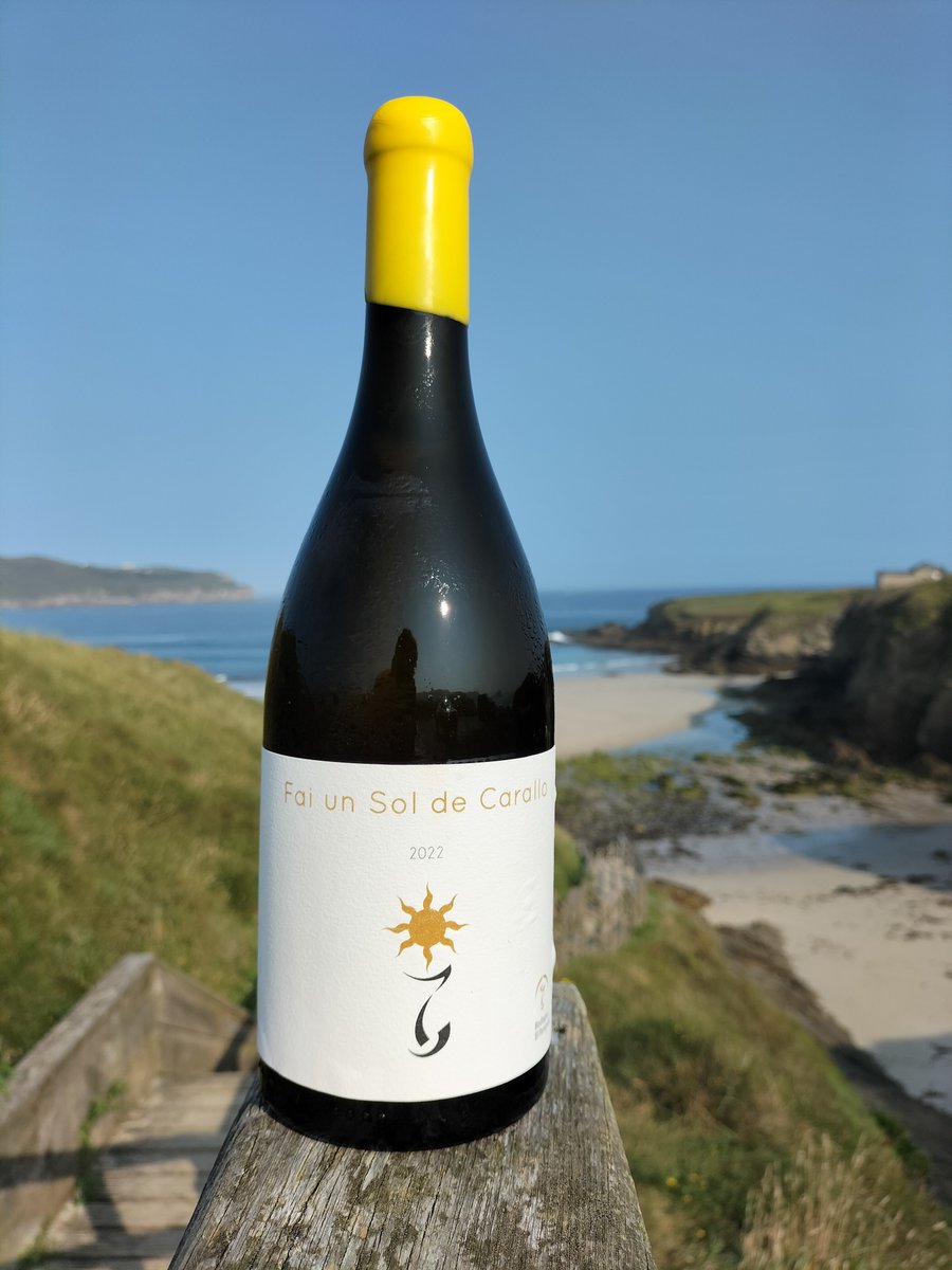 El #vino Fai un Sol de Carallo 2022🌞recibe la máxima valoración para un #ribeiro, según <a href="/LuisGutierrezSD/">Luis Gutierrez</a>, en el último número de The #Wine Advocate, 95 puntos. 🔝🔝