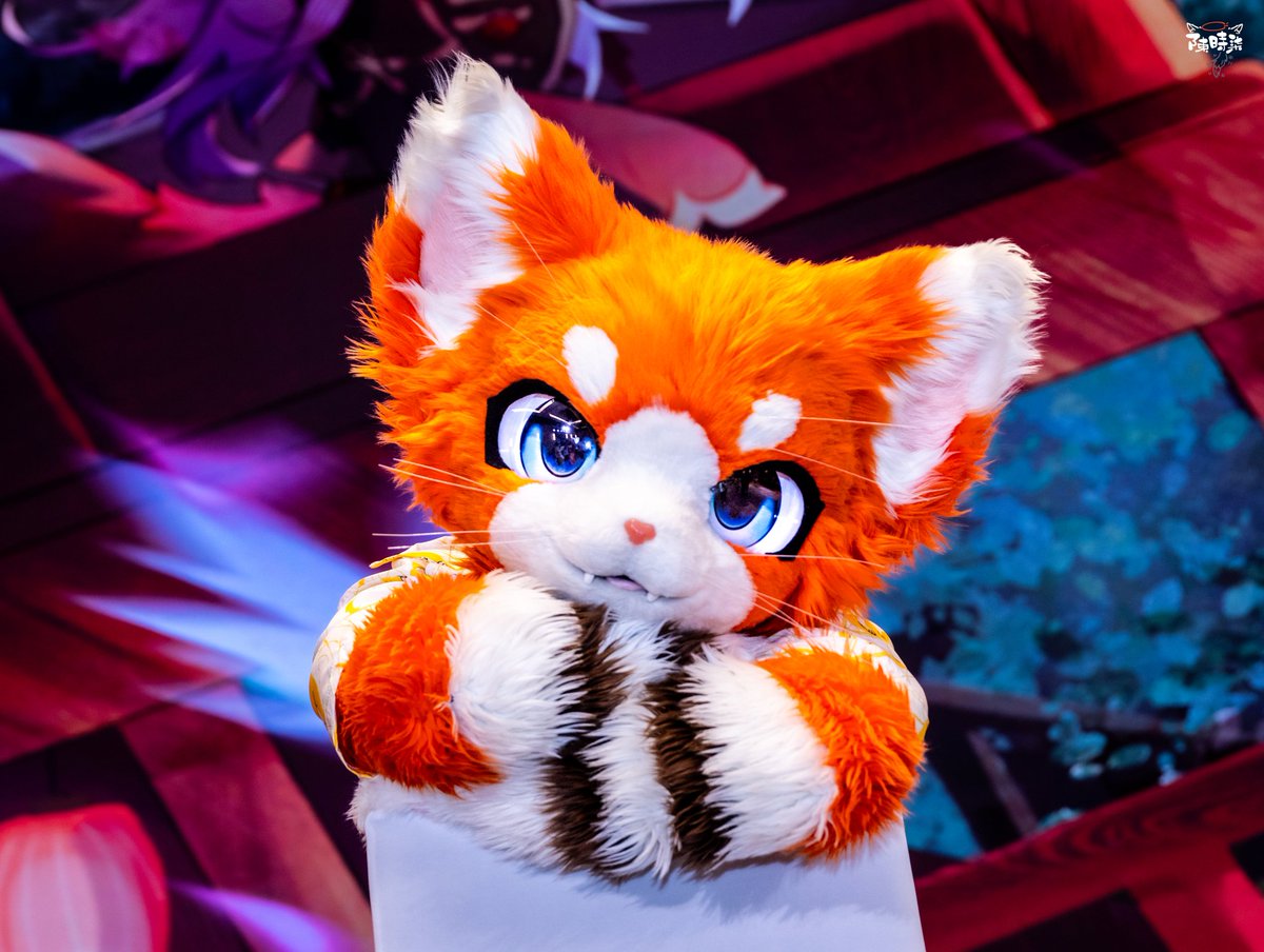 #FursuitFriday
猫猫这样盯着你，你会害羞吗？