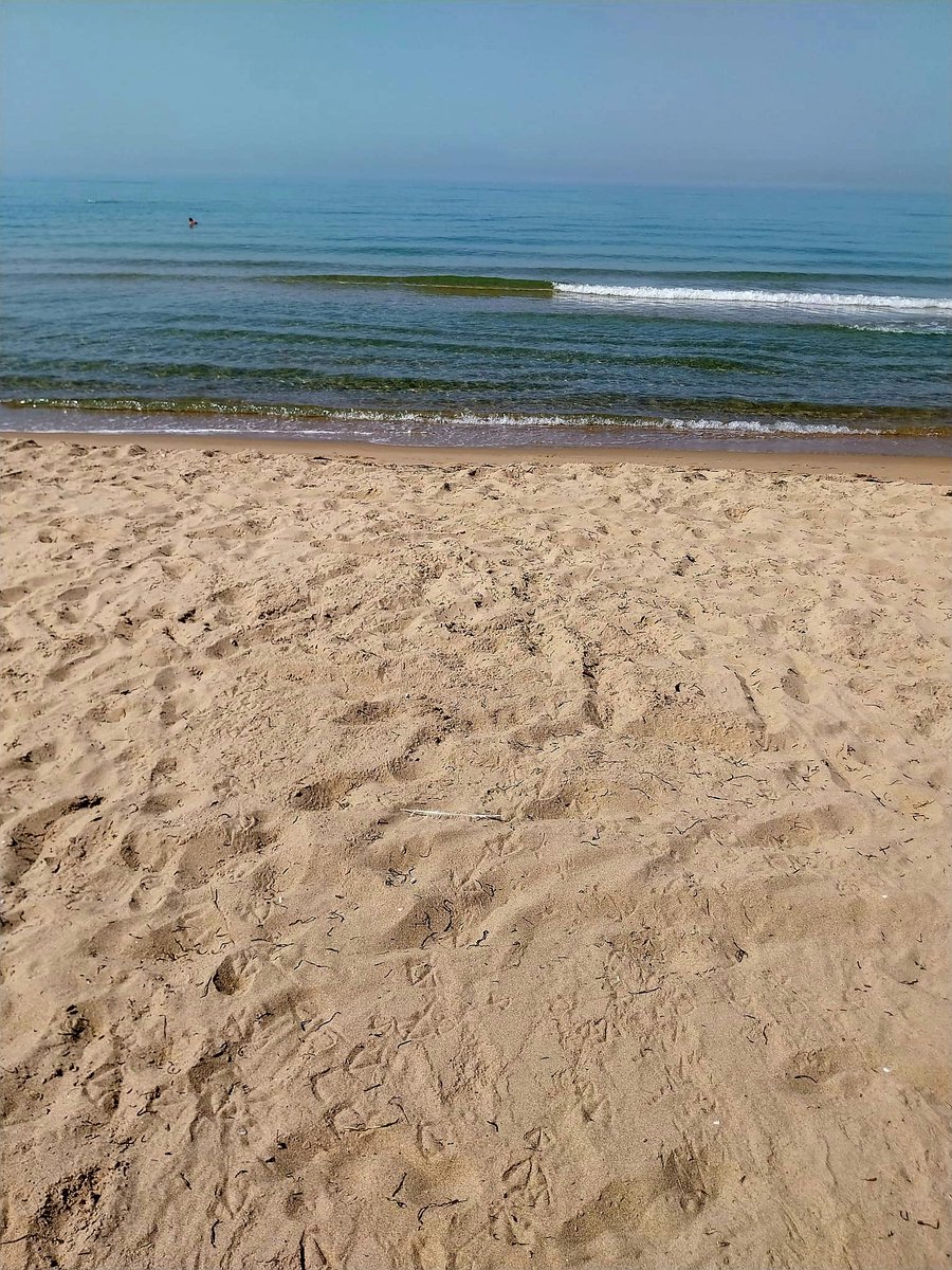Frances40135051's tweet image. Buongiorno 🌊 🏖
