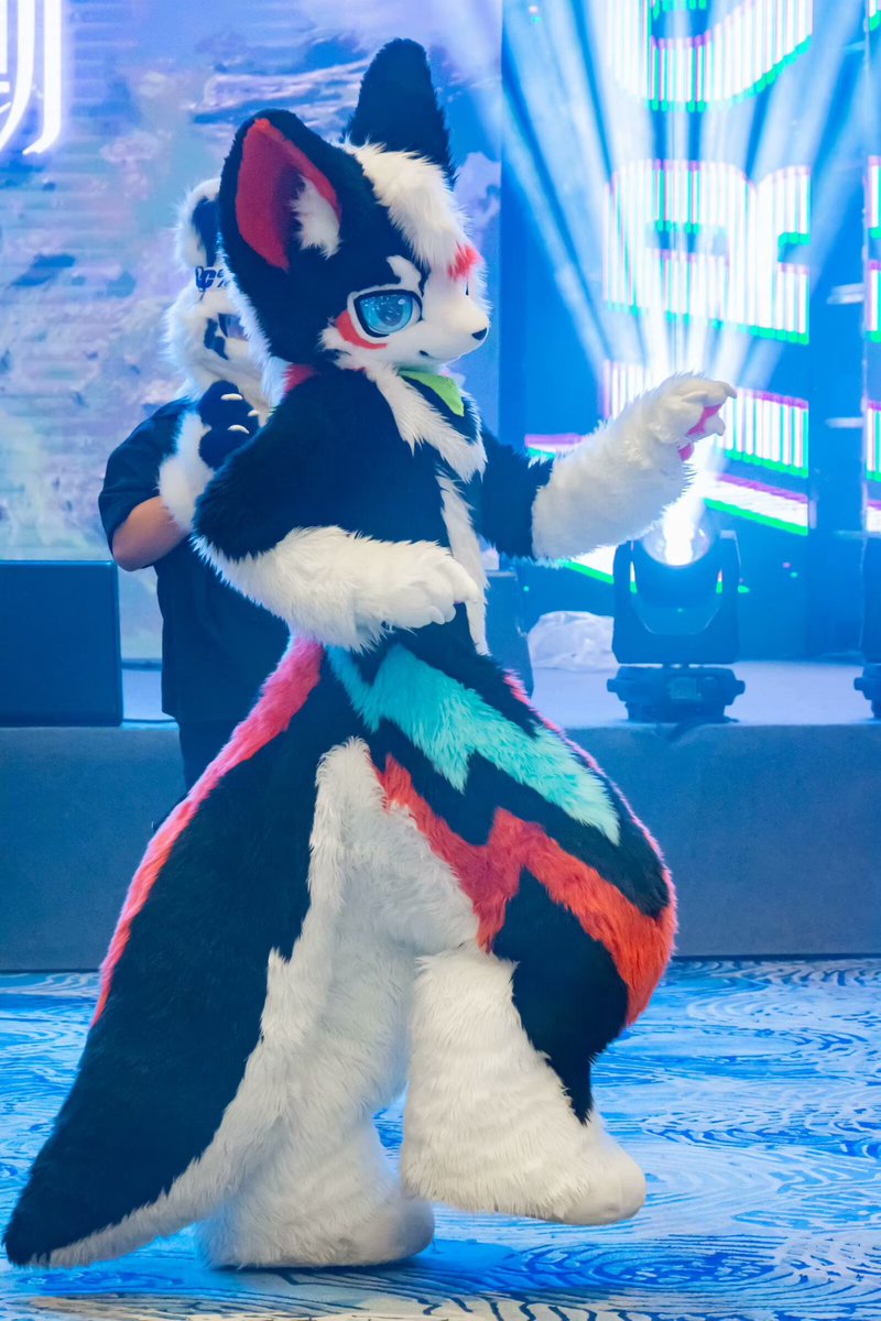 mutiantiantian's tweet photo. 毛五一下！
#furry #fursuit #FursuitEveryday #福瑞 #FursuitFryday https://t.co/NiUAtXQpK8