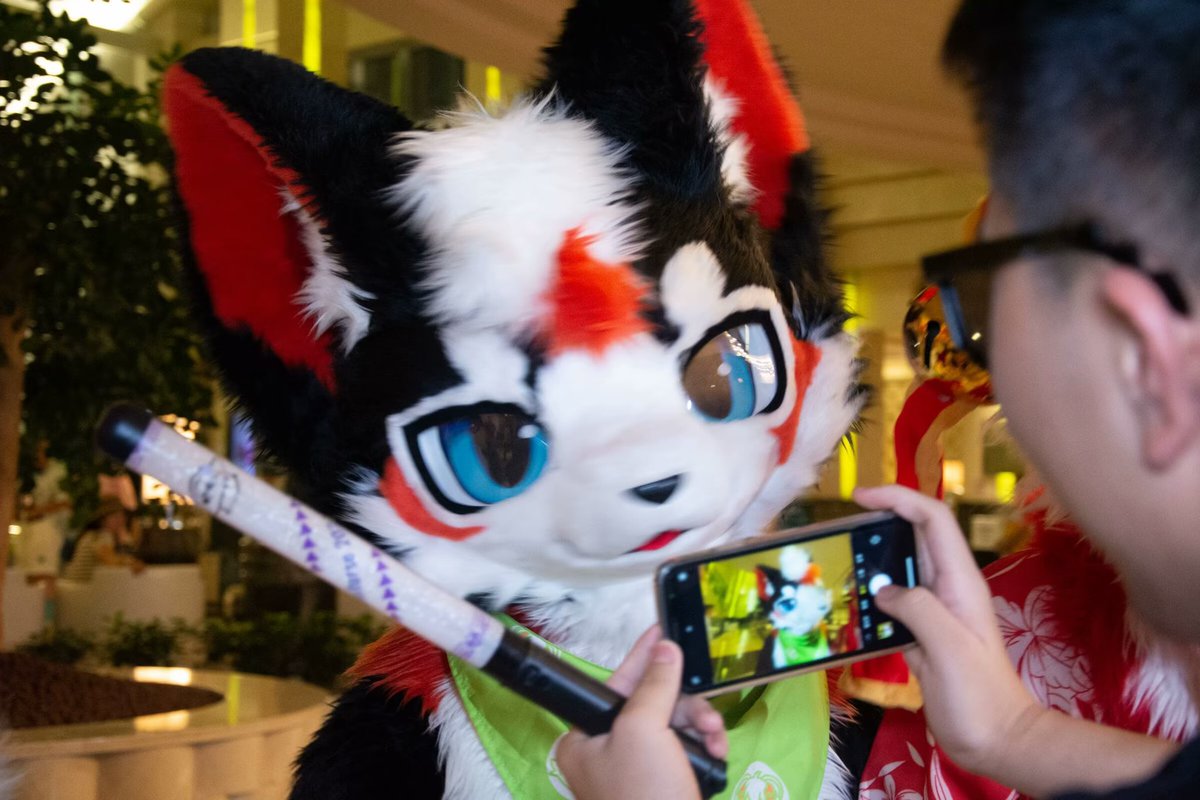 mutiantiantian's tweet photo. 毛五一下！
#furry #fursuit #FursuitEveryday #福瑞 #FursuitFryday https://t.co/NiUAtXQpK8