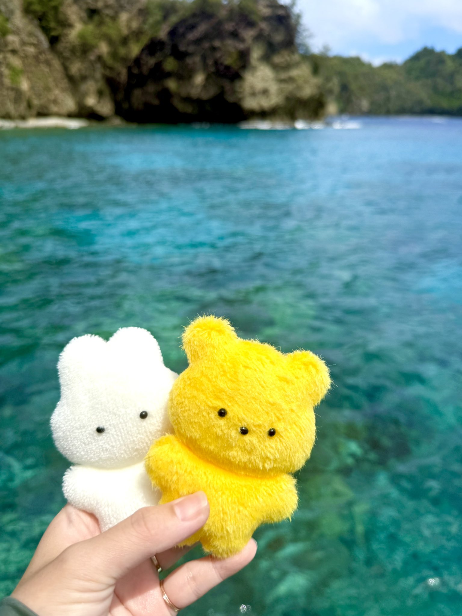 ♡うさちゃん♡ページ 三角クッションを撃退！かわいいうさちゃんから両手高速パンチが