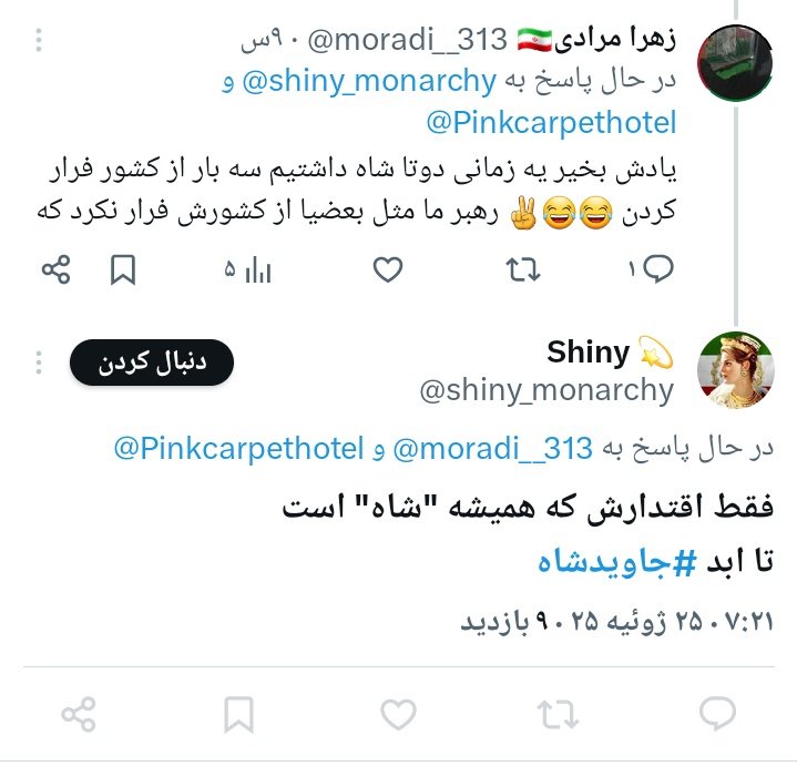 moradi__313's tweet image. معلومه حرفام خیلی سوزونده ایشونو @shiny_monarchy
