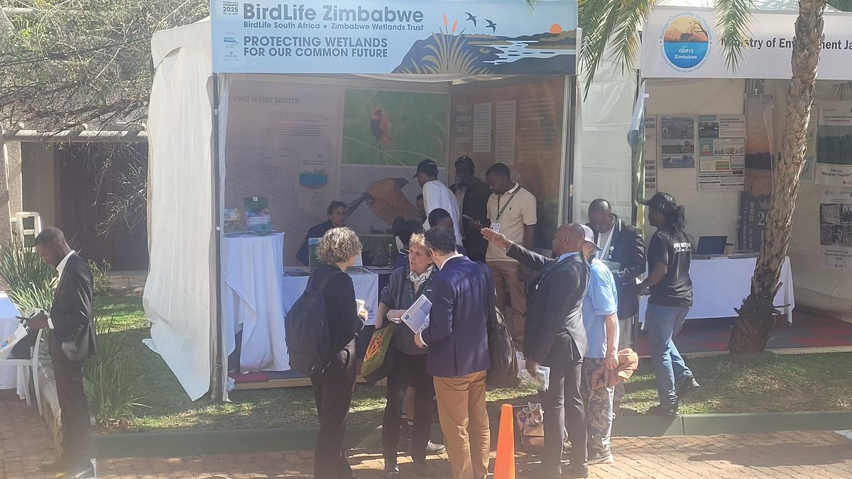 networkforenvi1's tweet image. .@birdlifezim stand today
#RamsarCOP15