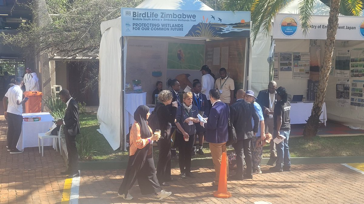 networkforenvi1's tweet image. .@birdlifezim stand today
#RamsarCOP15