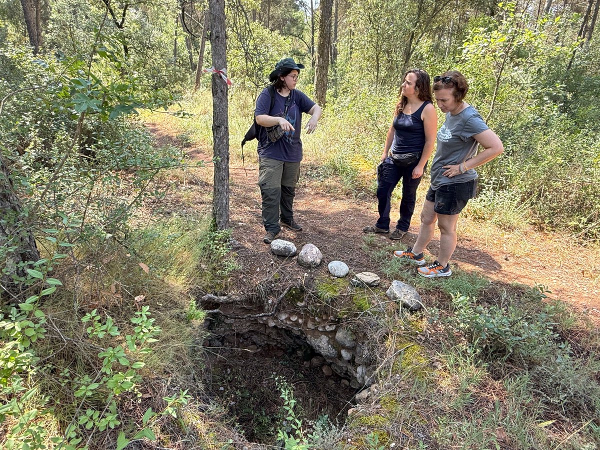 RadioSeu's tweet image. Arqueòlegs de la UB investiguen el campament de treballadors de la construcció de la presa de #Talarn. #AltPirineu + informació: tuit.cat/yG7go