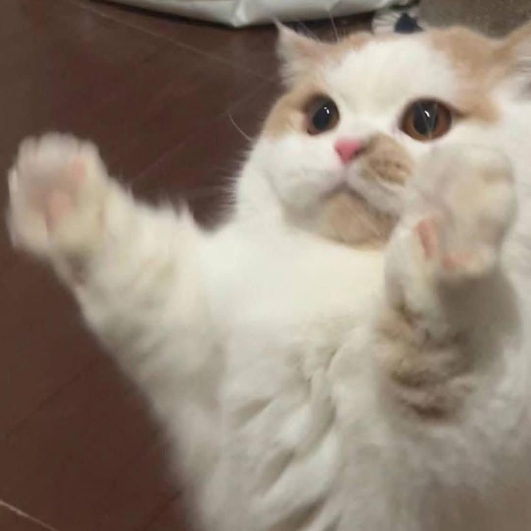 "i love you thiiiis much"