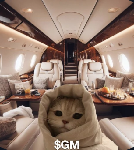 Cozy on my jet $GM