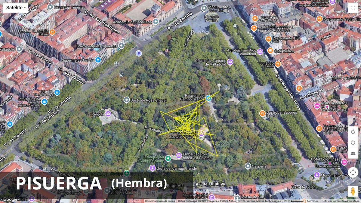 Ayto. de Valladolid (@ayuntamientovll) on Twitter photo 🦅Citius, Fortius y Pisuerga ya realizan sus primeros vuelos en el Campo Grande
El alcalde, <a href="/JesusJCarnero/">Jesus Julio Carnero</a>, destaca que “el avance de estas águilas es un orgullo científico y ambiental y un atractivo turístico para Valladolid”.
Te contamos los detalles👇🏻
valladolid.es/es/actualidad/… 🦅Citius, Fortius y Pisuerga ya realizan sus primeros vuelos en el Campo Grande
El alcalde, <a href="/JesusJCarnero/">Jesus Julio Carnero</a>, destaca que “el avance de estas águilas es un orgullo científico y ambiental y un atractivo turístico para Valladolid”.
Te contamos los detalles👇🏻
valladolid.es/es/actualidad/…