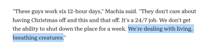 Ely 🇺🇦 🌻 △ tweet media