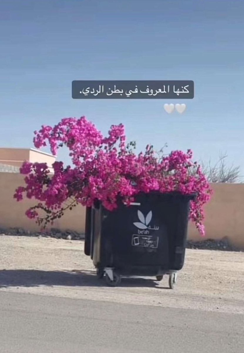 nef1235's tweet photo. @zyd_abw45622 @mahm12322 أكثر ناس يكرهونك أكثر ناس ساعدتهم
الفلسطيني الشخص الوحيد اللي لو يرتكب أكبر جريمه بالسعوديه مايترحل
الطالب الي ينقبل بالمدارس السعوديه بدون أوراق ثبوتيه
المريض الي يتعالج مجاني
وووو…
صوره بدون تحيه https://t.co/zR4YADqpqY