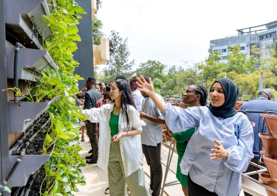 ngwijegrace's tweet image. Through @ryaf_agribiz , I joined an insightful vertical farming training organized by @FAORwanda . From hydroponics to smart growing systems, we explored the future of food production right in the heart of our cities.
#VerticalFarming