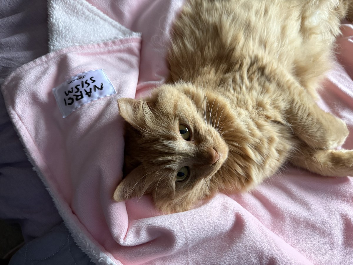 innerjae's tweet image. this diva loves my jaemin blanket sm