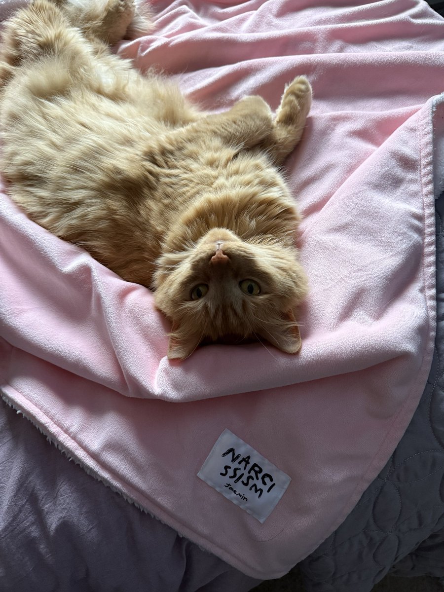 innerjae's tweet image. this diva loves my jaemin blanket sm