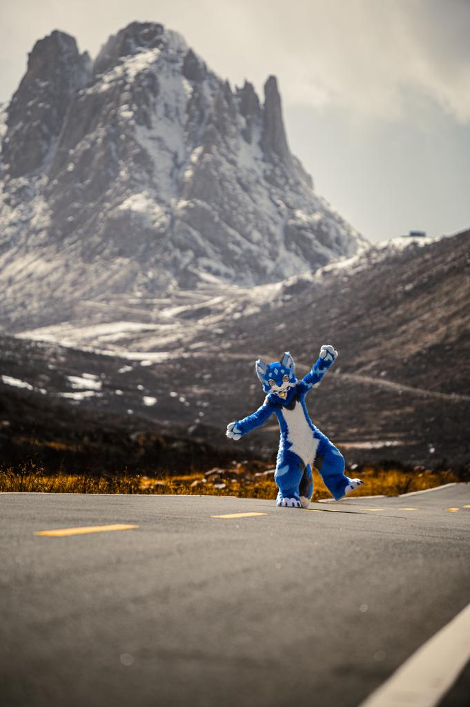 纯挡道，不挪开版！我要继续拍！~
📷：@牙牙仔 
#FursuitFriday