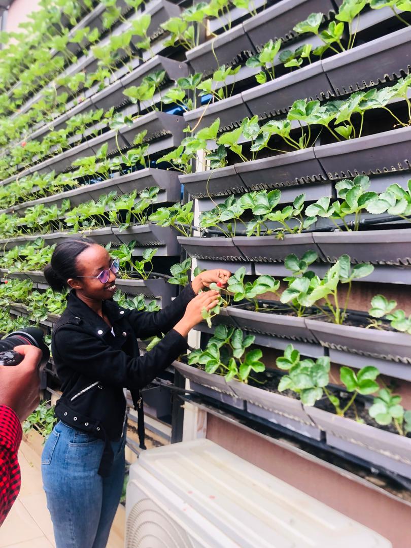 ngwijegrace's tweet image. Through @ryaf_agribiz , I joined an insightful vertical farming training organized by @FAORwanda . From hydroponics to smart growing systems, we explored the future of food production right in the heart of our cities.
#VerticalFarming