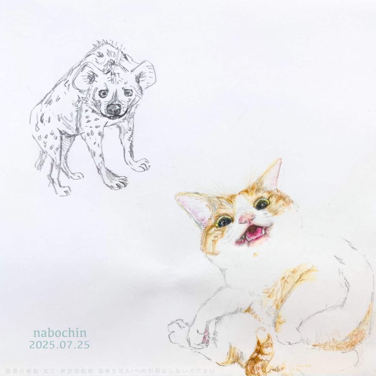 nabochin_2's tweet image. #趣味 #絵 #鉛筆画 #色鉛筆画 #イラスト #動物イラスト #練習絵

練習 … φ(･_･ 💦