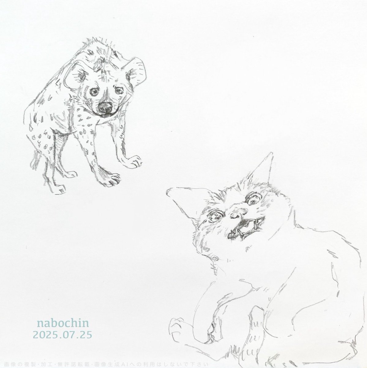 nabochin_2's tweet image. #趣味 #絵 #鉛筆画 #色鉛筆画 #イラスト #動物イラスト #練習絵

練習 … φ(･_･ 💦
