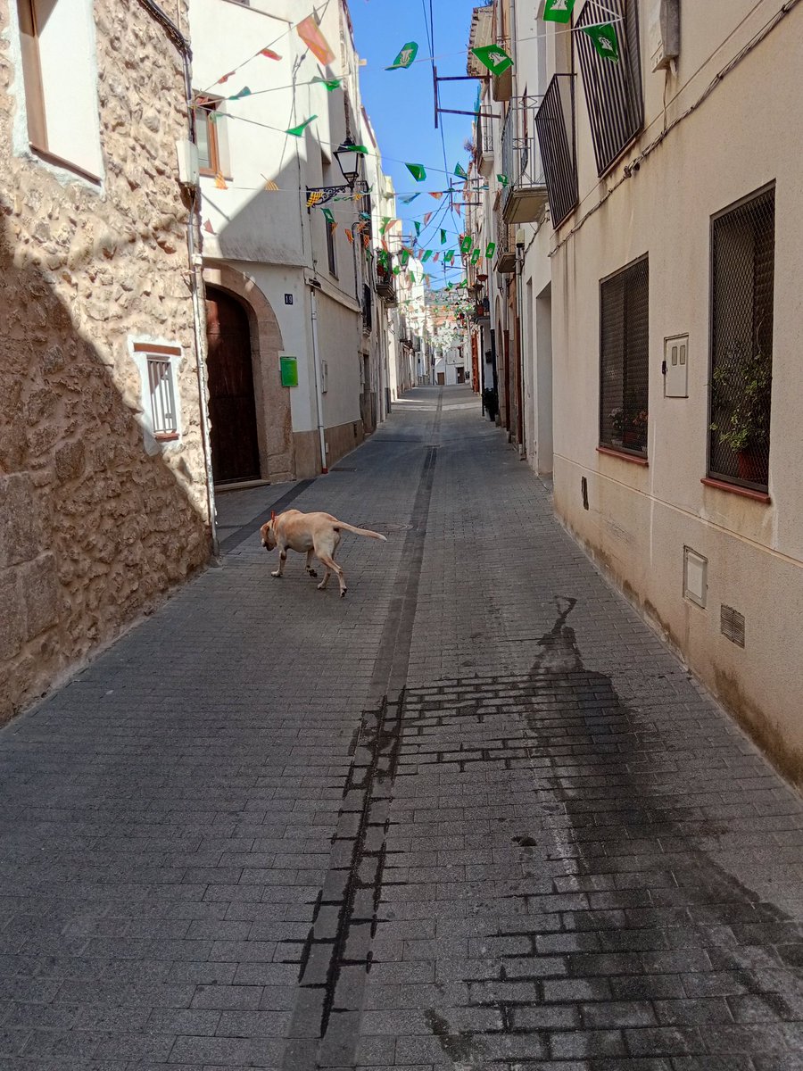 GustavoAdolf_'s tweet image. Vivir en un pueblo.
Paz, armonía, serenidad.
No lo cambio por nada.
La España vaciada. 🇪🇸