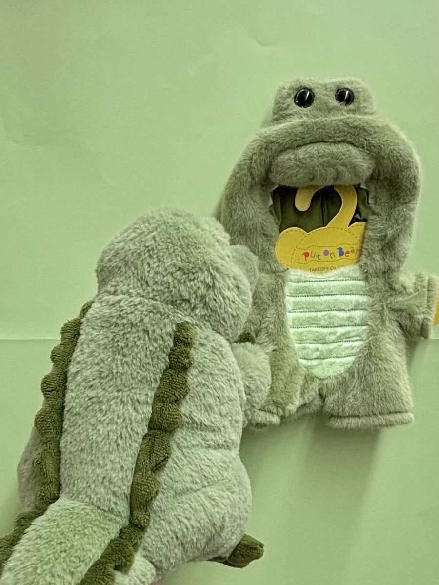 takeoff1987's tweet image. 🐊『みてー！ワーリーのコスチュームだよ
ちょっとむりむりだけど来てみたよ✌🏻
似合うかなぁ〜？』

#ワーリー #ぬいぐるみのテイクオフ #ワーリーフレンズ #水族館 #動物園