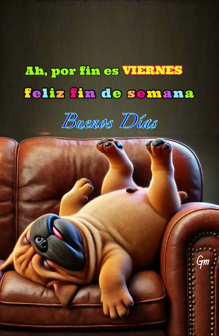 Javitxu15913515's tweet image. Buenos días Gente y Feliz Viernes desde el Norte 😘☕
A por este Viernes por aquí con Sol, nubes , algo de lluvia y con fresquito , con un café o lo que más os guste y siempre con una sonrisa puesta 😃🫂