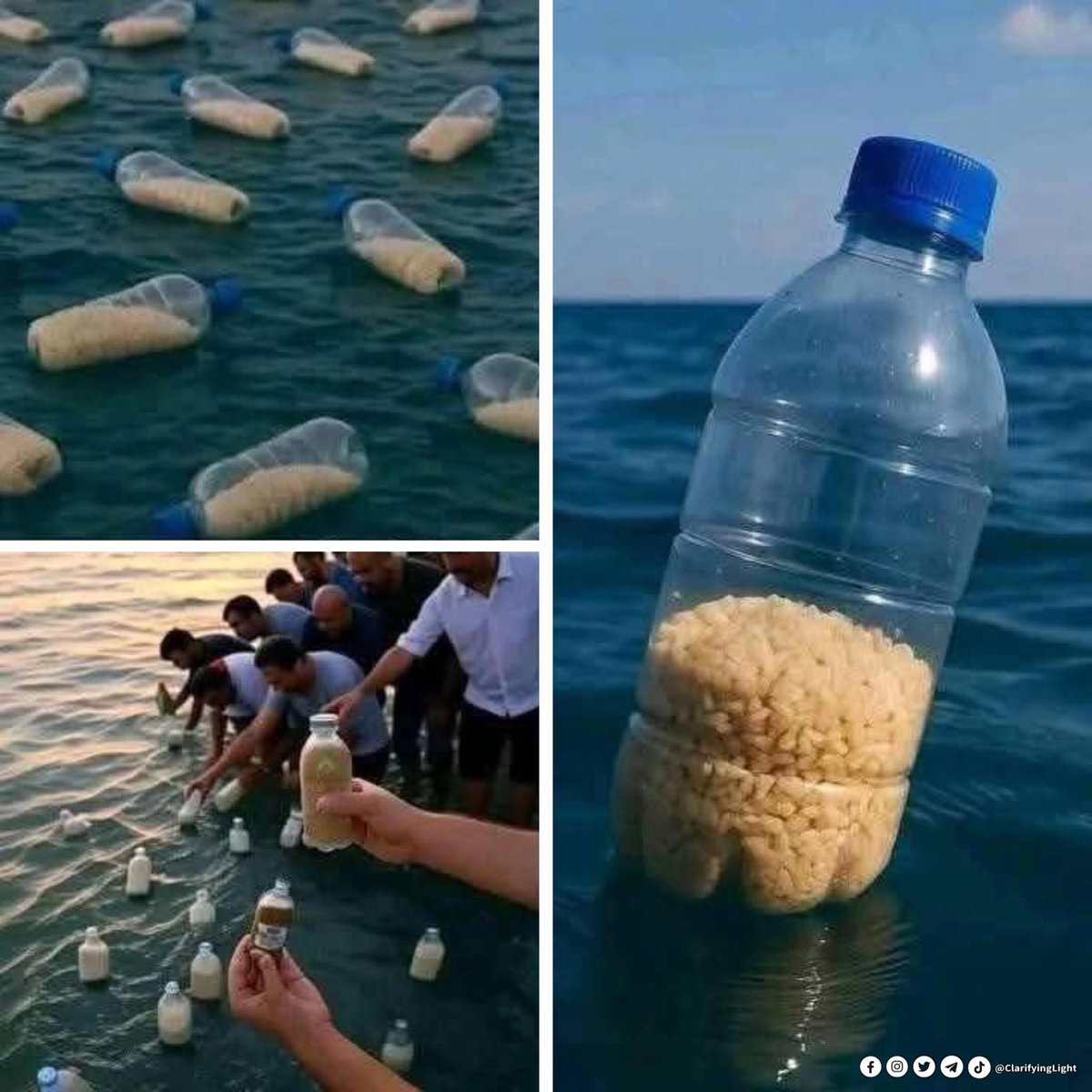 "This is one of the most moving acts of love and solidarity. People in Egypt, Libya, Tunisia, Algeria, and Morocco are filling empty water bottles with rice, lentils, and beans — then throwing them into the sea, hoping the waves will carry them all the way to Gaza. They know the