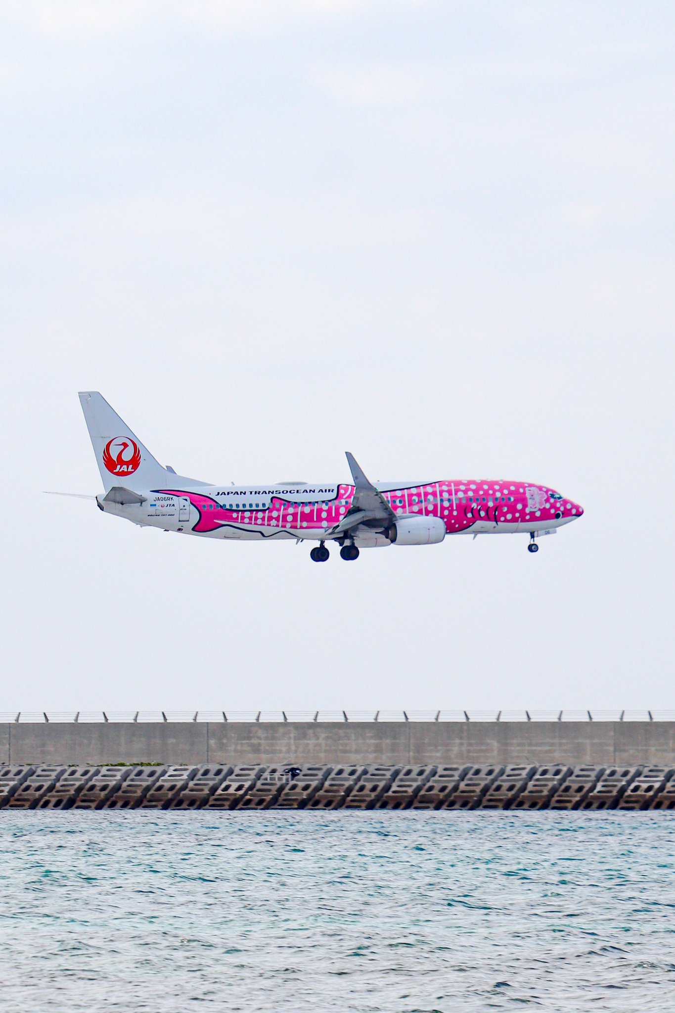 日本トランスオーシャン航空｜ JTA on X: 
