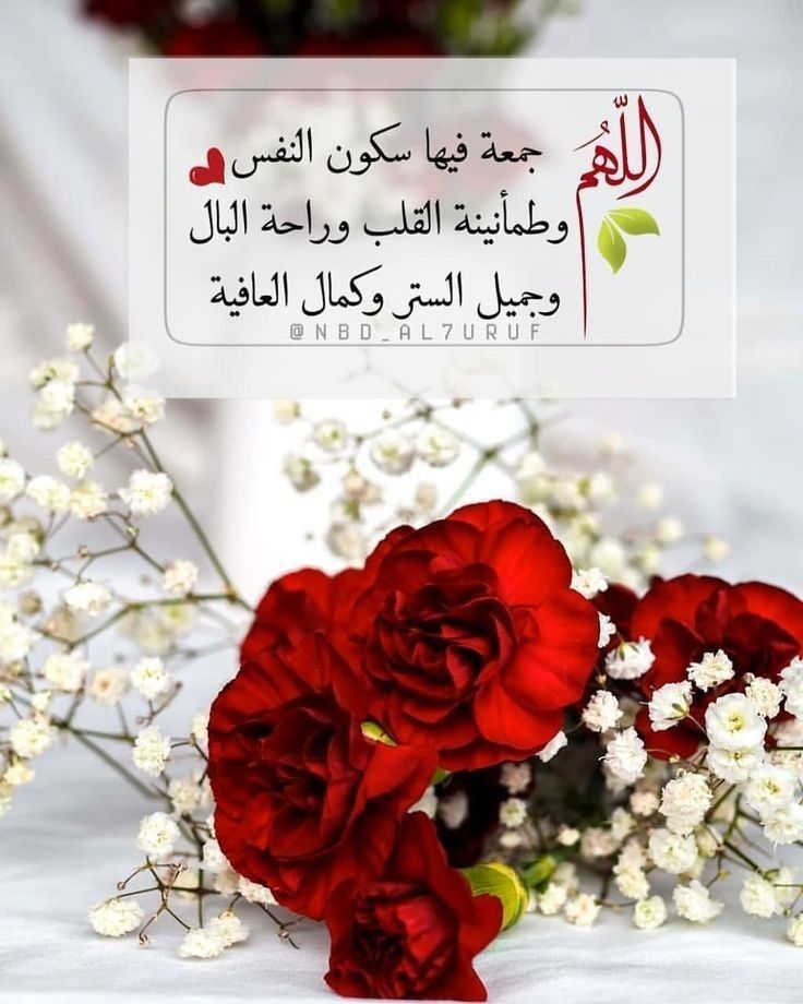 🌹نورا 🌹 (@nwr1011559) on Twitter photo <a href="/DenyakDenyay/">DenyakDenya 👱♀️إغلاق الحساب</a> اللھم امين يارب العالمين
صباح الورد والياسمين
جعلك ربي من سعداء الدنيا والآخرة يارب <a href="/DenyakDenyay/">DenyakDenya 👱♀️إغلاق الحساب</a> اللھم امين يارب العالمين
صباح الورد والياسمين
جعلك ربي من سعداء الدنيا والآخرة يارب