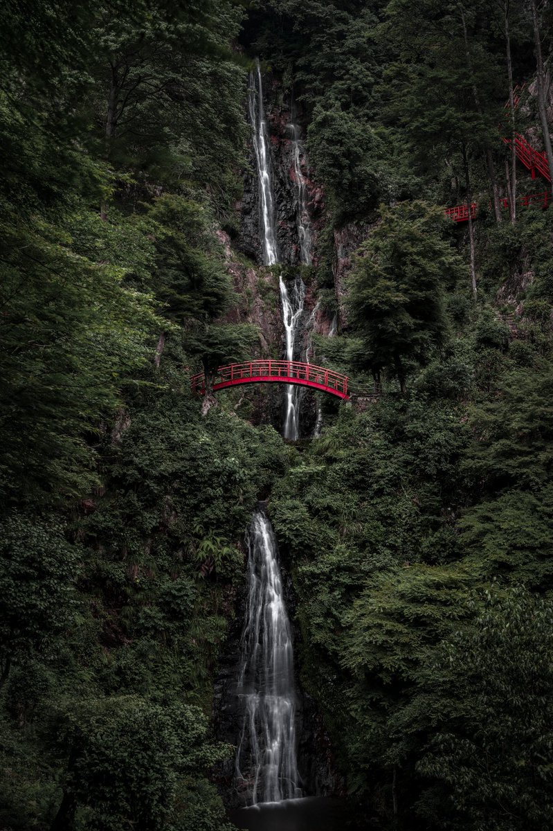 mpmb7's tweet image. まるで異世界のような岐阜の滝