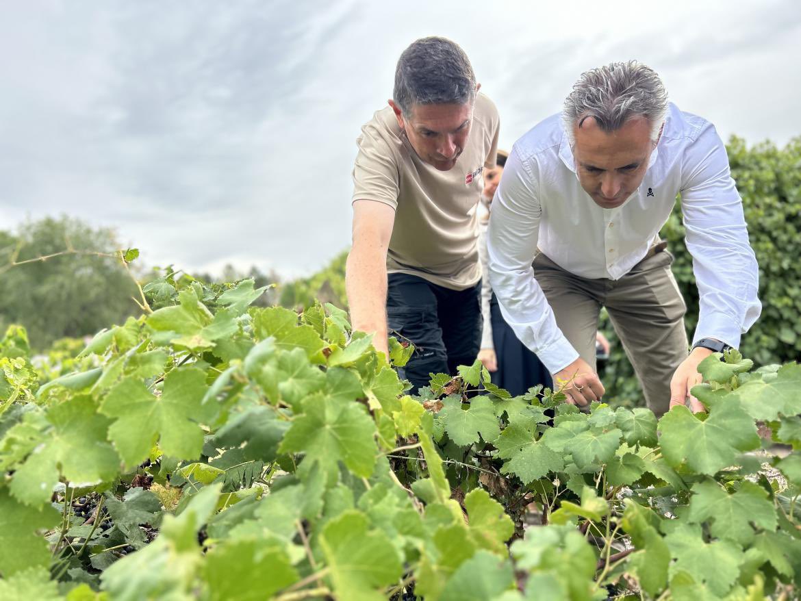 CarlosNovilloPi's tweet image. Con el objetivo consolidar un grupo de expertos del sector agroalimentario,
rural y medioambiental en la región, por primera vez, el @midra_i, convoca diez plazas de investigadores.
Estas oposiciones suponen un paso decisivo con el que reforzará su papel como Organismo Público…