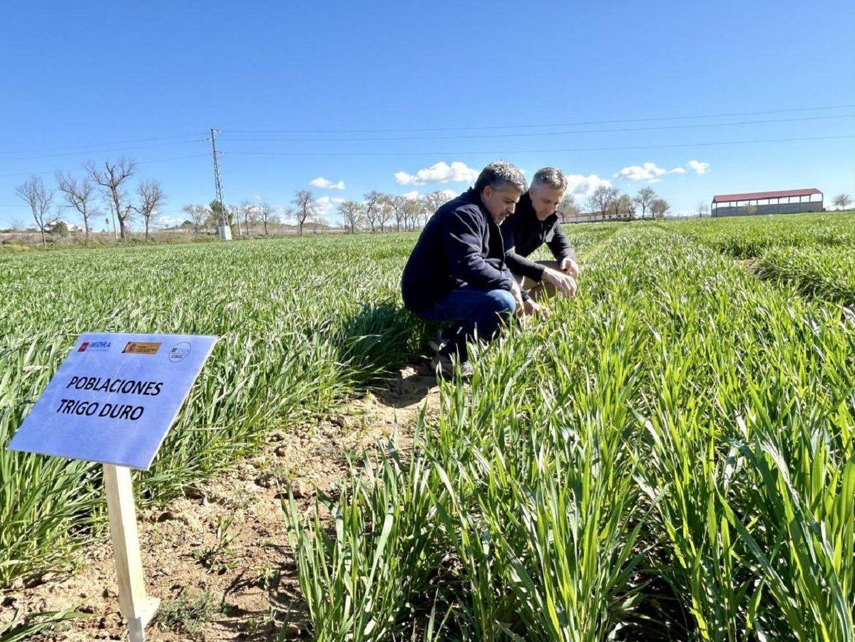 CarlosNovilloPi's tweet image. Con el objetivo consolidar un grupo de expertos del sector agroalimentario,
rural y medioambiental en la región, por primera vez, el @midra_i, convoca diez plazas de investigadores.
Estas oposiciones suponen un paso decisivo con el que reforzará su papel como Organismo Público…