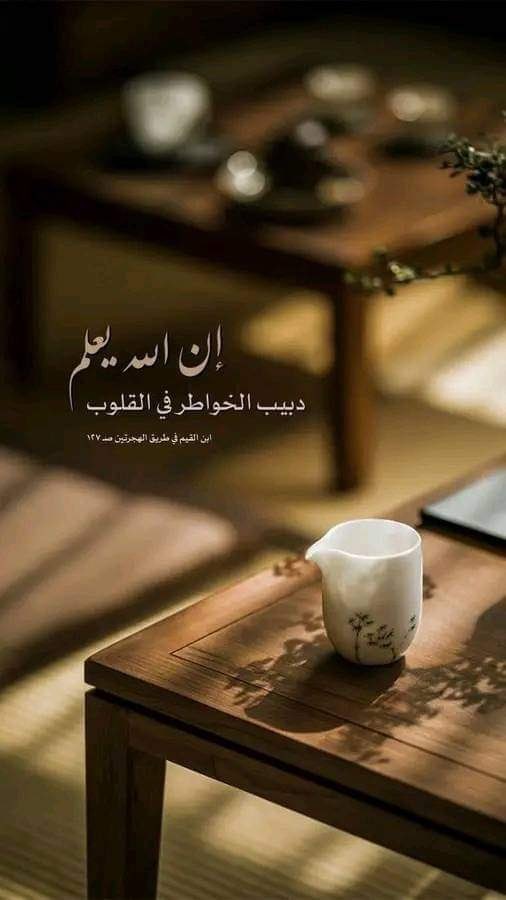ام عبدالرحمن التبوكي tweet media