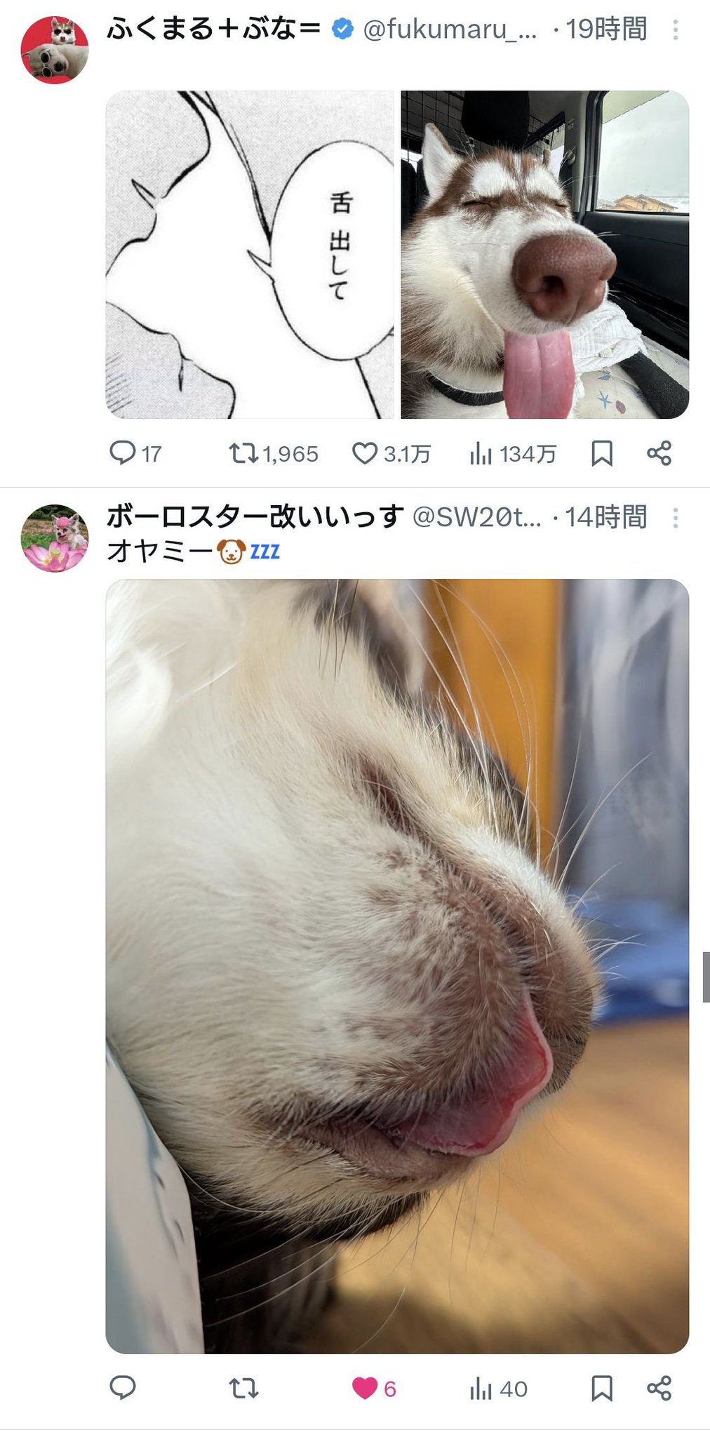 meme様おまとめページ しお on X: 