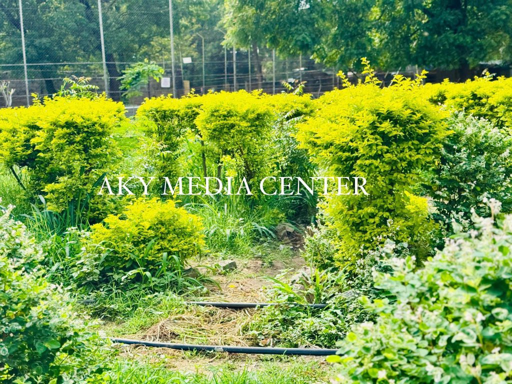 Muhammad tweet media