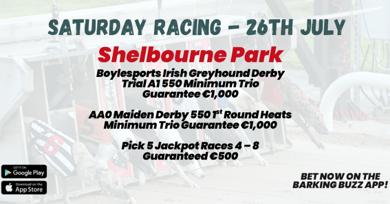 shelbournepark's tweet image. 🏟 𝗦𝗮𝘁𝘂𝗿𝗱𝗮𝘆 𝗥𝗮𝗰𝗶𝗻𝗴 𝗮𝘁 𝗦𝗵𝗲𝗹𝗯𝗼𝘂𝗿𝗻𝗲 𝗣𝗮𝗿𝗸 🏟
⚡️ Boylesports Irish Greyhound Derby Trial
💥 Pick 5 Jackpot Races
Download the Barking Buzz App or Visit: barkingbuzz.grireland.ie
*T&Cs apply