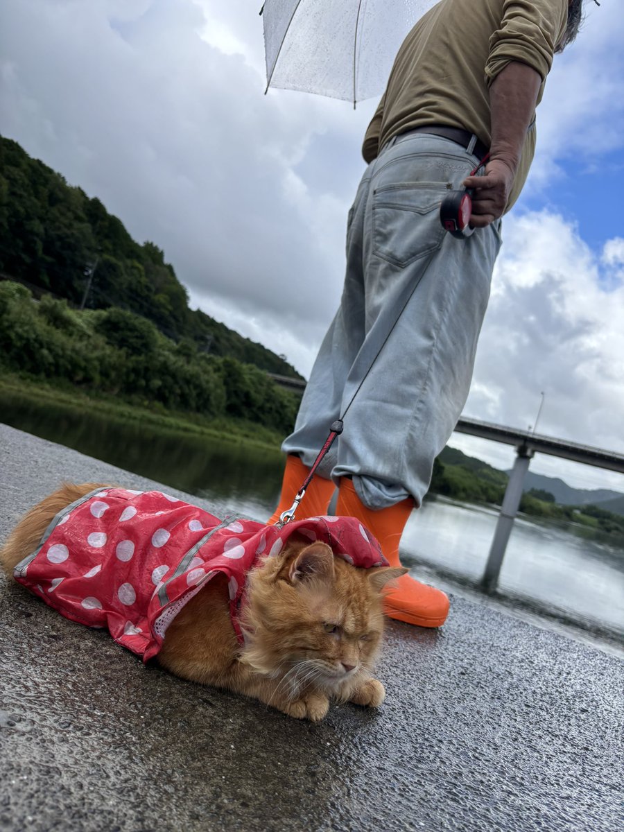 可愛いねぇ
