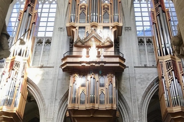 What’s on this week: 25 to 31 July
thebulletin.be/whats-week-25-…