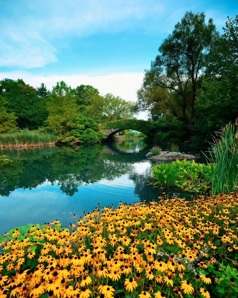 travolax's tweet image. Whatโs your favorite travel photo-editing app?
โ Central Park, New York City ๐ป