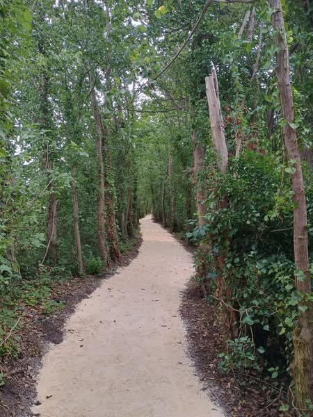 TCV Hull and Humber (@tcvhumber) on Twitter photo Its all done and dusted!! 120 tonnes of limestone spread over a 570m footpath this week on our local transformation project in Howden. #volunteers smashed it, learnt new skills and could see how the results first hand from their time and effort 💪☀️💚#JoinInFeelGood <a href="/TCVtweets/">The Conservation Volunteers (TCV)</a> Its all done and dusted!! 120 tonnes of limestone spread over a 570m footpath this week on our local transformation project in Howden. #volunteers smashed it, learnt new skills and could see how the results first hand from their time and effort 💪☀️💚#JoinInFeelGood <a href="/TCVtweets/">The Conservation Volunteers (TCV)</a>