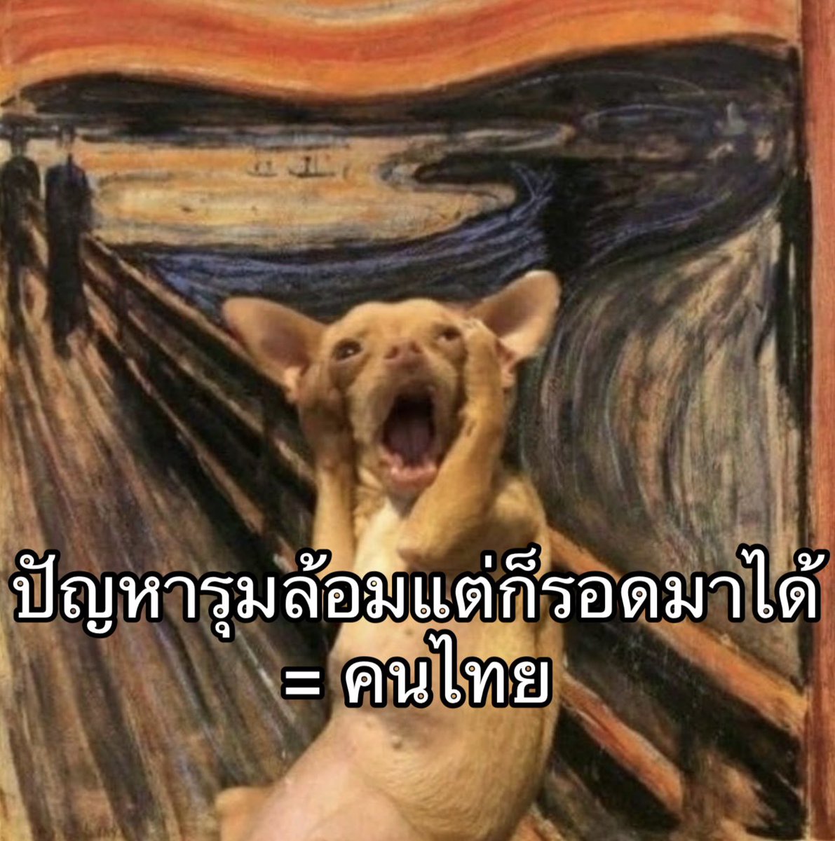 ใครสักคนกล่าวไว้ tweet media