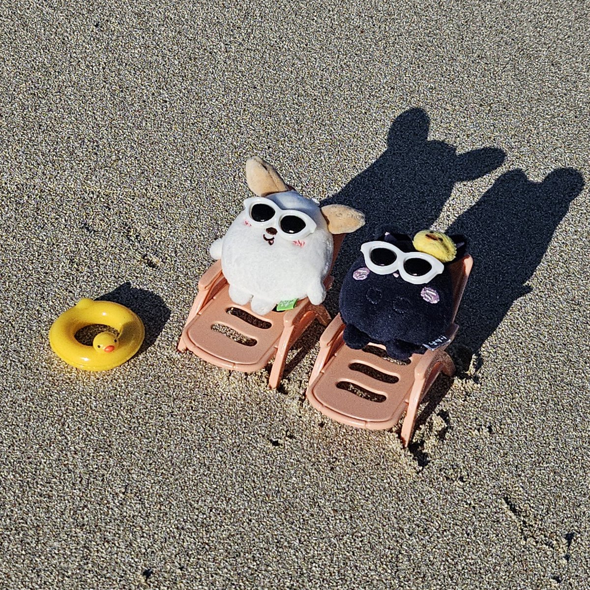 BRIIZeeeeeeeee's tweet image. 요랬는데                            요래됐습니다😎